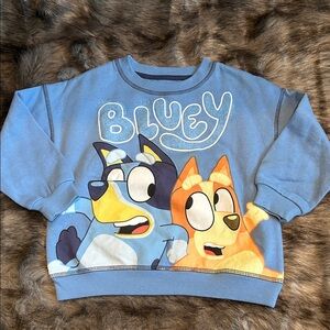 Bluey Bingo Boy Girl Unisex Pullover Sweatshirt 3T
